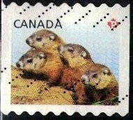 Juvenile Wildlife, Four Woodchuck Pups, Canada SC#2604 used