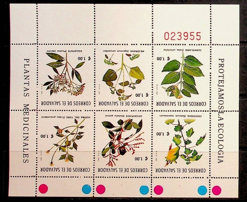 SALVADOR Sc 1359 NH MINISHEET OF 1993 - MEDICAL PLANTS