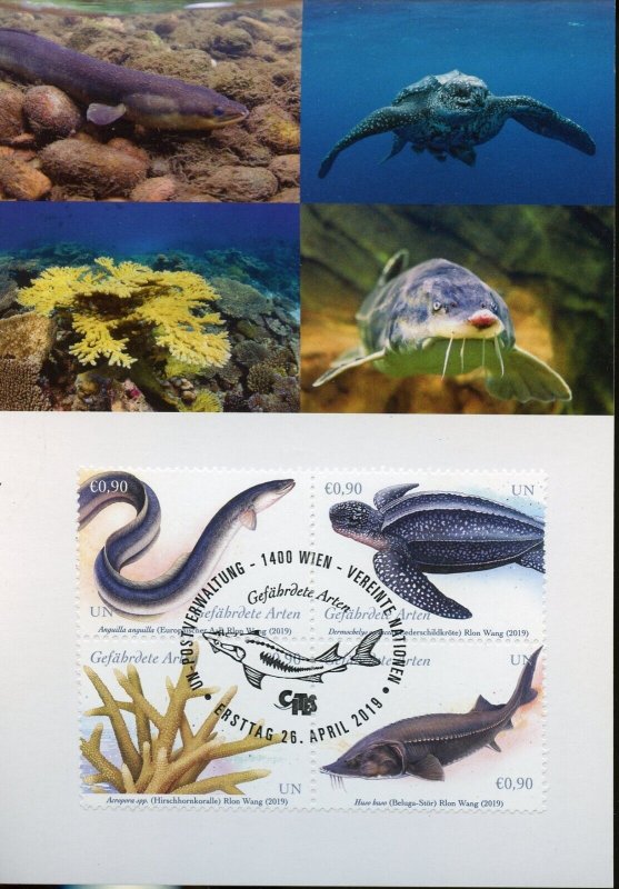 UNITED NATIONS 2019 ENDANGERED SPECIES MAXIMUM CARDS NY VIENNA GENEVA MINT & FDC 