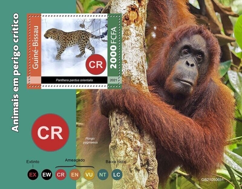 Guinea-Bissau - 2021 Critically Endangered Species - Souvenir Sheet - GB210506b1