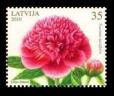 2010 Latvia 782 Flowers