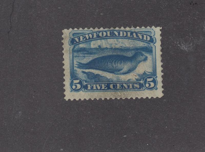 NEWFOUNDLAND # 53 FVF-MNG 5cts HARP SEAL CAT VALUE $200