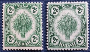 Malaya 1921 KEDAH 2c Shades Variety Mint MSCA SG#27 M4972