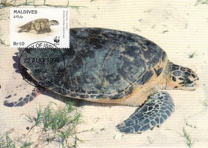 Maldives 1995 Maxicard Sc #2092a 10r Hawksbill turtle WWF