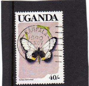 Uganda Butterflies used