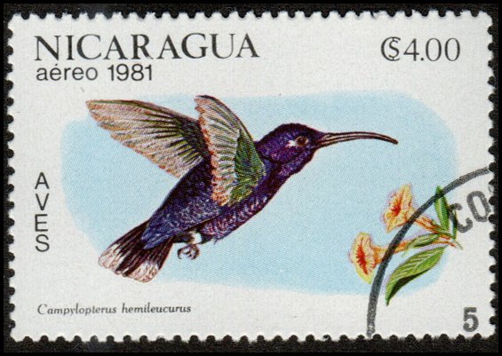 Nicaragua C987 - Cto - 4cor Violet Sabrewing (1981) (cv $0.40)