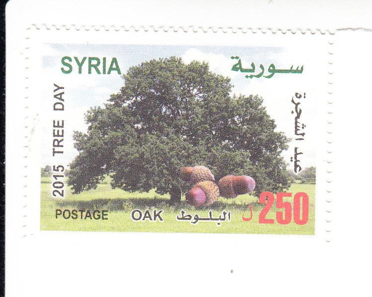 2015 Syria Trees Day (Scott 1750) MNH