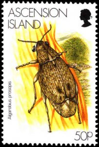 Ascension #692-695, Complete Set(4), 1998, Insects, Never Hinged