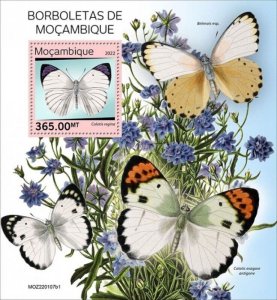 Mozambique - 2022 Mozambique Butterflies - Stamp Souvenir Sheet - MOZ220107b1