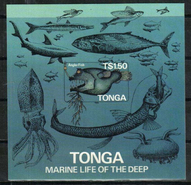 Tonga Stamp 601  - Angler fish