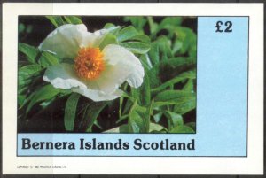 {B089} Bernera Scotland Flowers (7) S/S 2£ MNH Cinderella !!