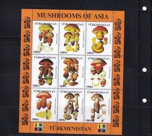 SA05 Turkmenistan 1999 Mushrooms Cinderella Souvenir sheet