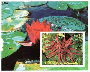 Fujeira Mi Block 135B (#1337) mnh - 1972 flower water lily imperf souvenir sheet