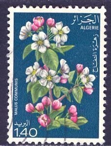 Algeria; 1978: Sc. # 610: Used Single Stamp