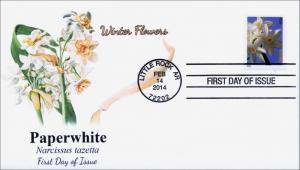 SC 4863, 2014 Winter Flowers, Paperwhite, FDC,  Item 14-051