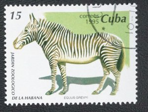 CUBA Sc# 3675 NATIONAL ZOO WILD ANIMALS   zebra 15c 1995  used cto