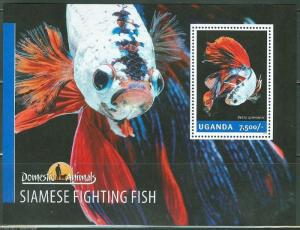 UGANDA 2014 DOMESTIC ANIMALS  SIAMESE FIGHTING FISH  SOUVENIR SHEET  MINT NH