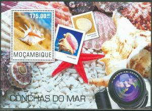 MOZAMBIQUE  2014  SEASHELLS   SOUVENIR SHEET   MINT NH