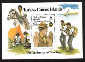 Turks and Caicos 516 Boy Scouts Souvenir Sheet MNH VF