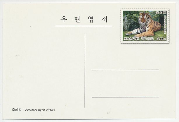 Postal stationery Korea 2005 Tiger