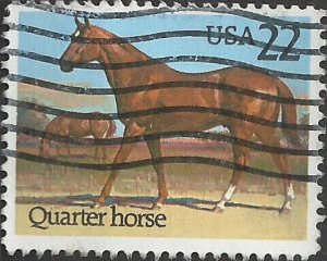 # 2155 USED QUARTER HORSE