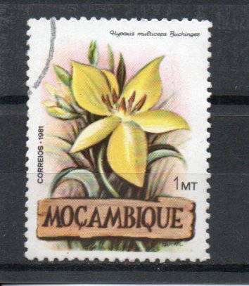 Mozambique 794 used (A)