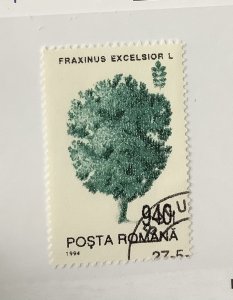 Romania 1994 Scott  3920 used - 940 l, trees,  Fraxinus excelsior