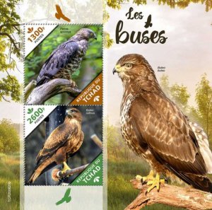 Chad - 2020 Buzzards, Long-legged - 2 Stamp Souvenir Sheet - TCH200620b