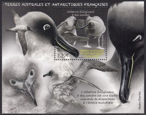 TAAF FRANCE ANTARCTIC 2023 BIRDS ALBATROSS OISEAUX VOGEL UCCELLO AVES FSAT