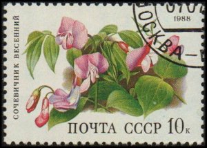 Russia 5688 - Cto - 10k Spring Pea (1988)