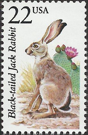 # 2305 MINT NEVER HINGED BLACK-TAILED JACK RABBIT