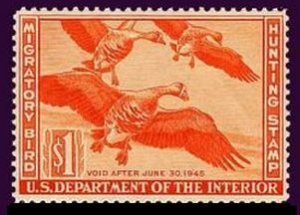 US Stamp #RW11 Mint - Trio of WONDERFUL White-fronted Geese