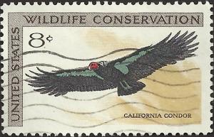 # 1430 USED CALIFORNIA CONDOR