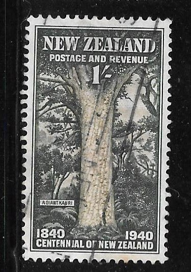 New Zealand 241: 1/- Kauri Tree, used, F-VF