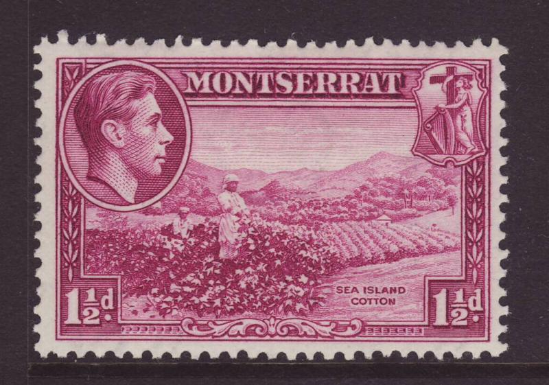 1938 Montserrat 1½d Sea Island Cotton Perf 13