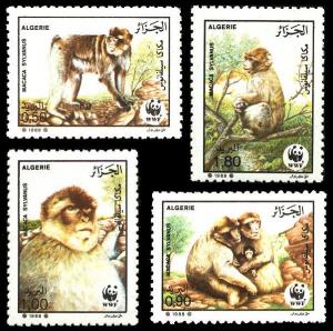 Algeria WWF Barbary Macaque 4v SG#989/92 SC#872-75 MI#972-75