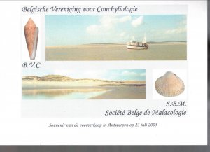 BELGIUM Sc 2101 NH PRESENTATION BOOKLET OF 2005 - SHELLS - (WG04)