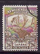 Newfoundland-Sc#125- id11-used 24c bistre Caribou-Cambrai-1919- rainbow