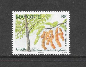 MAYOTTE  CLEARANCE#252 TAMARIND TREE MNH