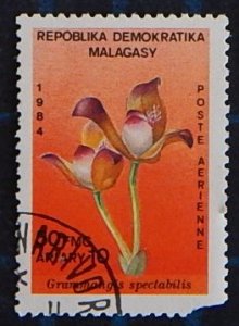 Flower, Malagasy Republic, (2584-T)