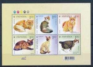 [34742] Ukraine 2008 Animals Cats MNH Sheet