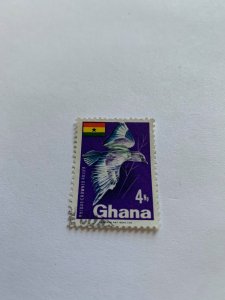 Ghana 291