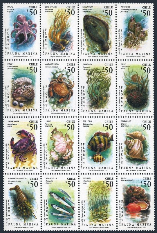 Chile 967 ap sheet, MNH. Mi 1444-1459. Marine life, Flora, Fauna, Shells, 1991.