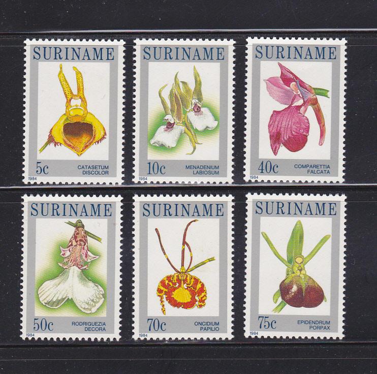 Surinam 663-668 Set MNH Flowers