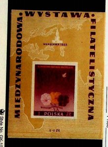 POLAND Sc B104 NH ISSUE OF 1955 - SOUVENIR SHEET - EXPO