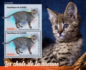 Guinea - 2020 Savannah Cats on Stamps - 2 Stamp Souvenir Sheet - GU200308b