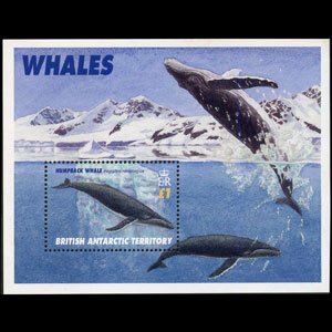 BR.ANTARCTIC TERR. 1996 - Scott# 248 S/S Whales NH