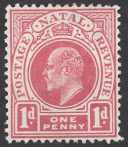 Natal Sc# 82 MH 1902-1903 1p King Edward VII