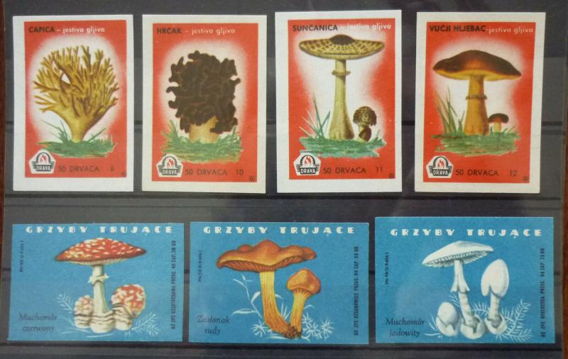 Match Box Labels! flora flower flowers nature mushrooms yugoslavia GJ27