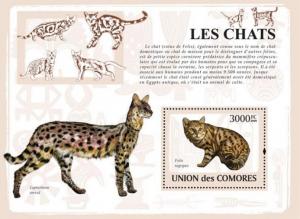 COMORES 2009 SHEET CATS LES CHATS GATTI GATOS KATZEN cm9105b